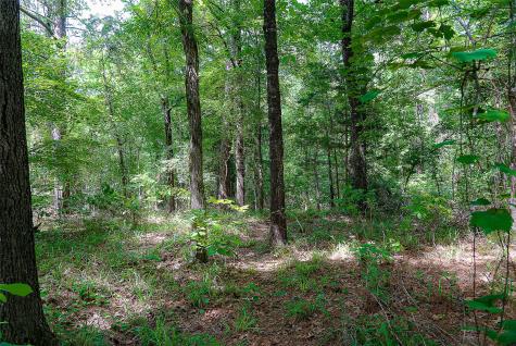 00 Off Of Farm To Market Road 2064 Troup TX 75789