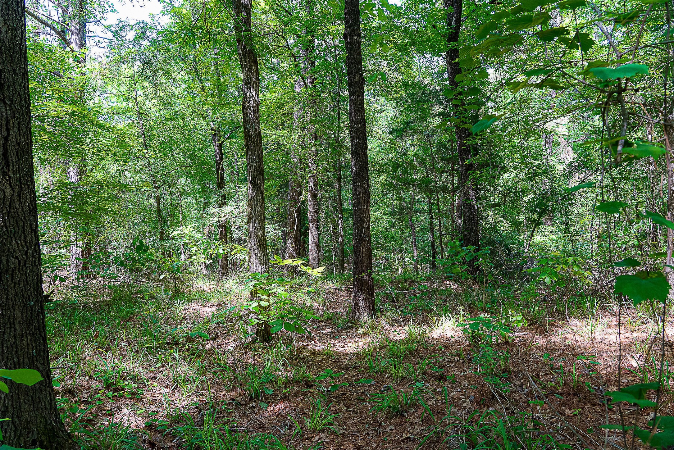 00 Off Of Farm To Market Road 2064 Troup TX 75789
