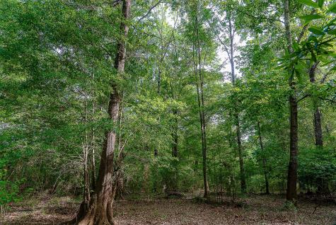 00 Off Of Farm To Market Road 2064 Troup TX 75789
