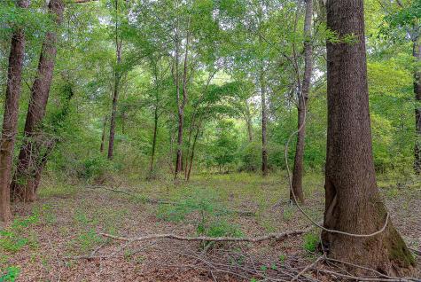 00 Off Of Farm To Market Road 2064 Troup TX 75789