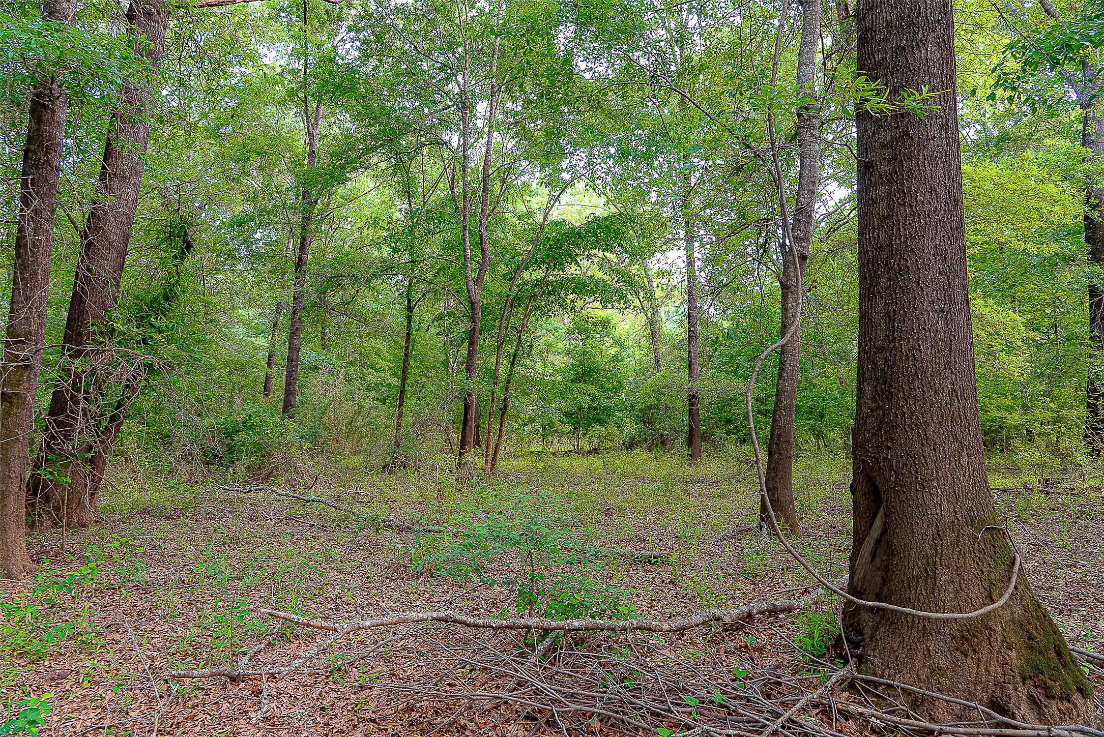 00 Off Of Farm To Market Road 2064 Troup TX 75789