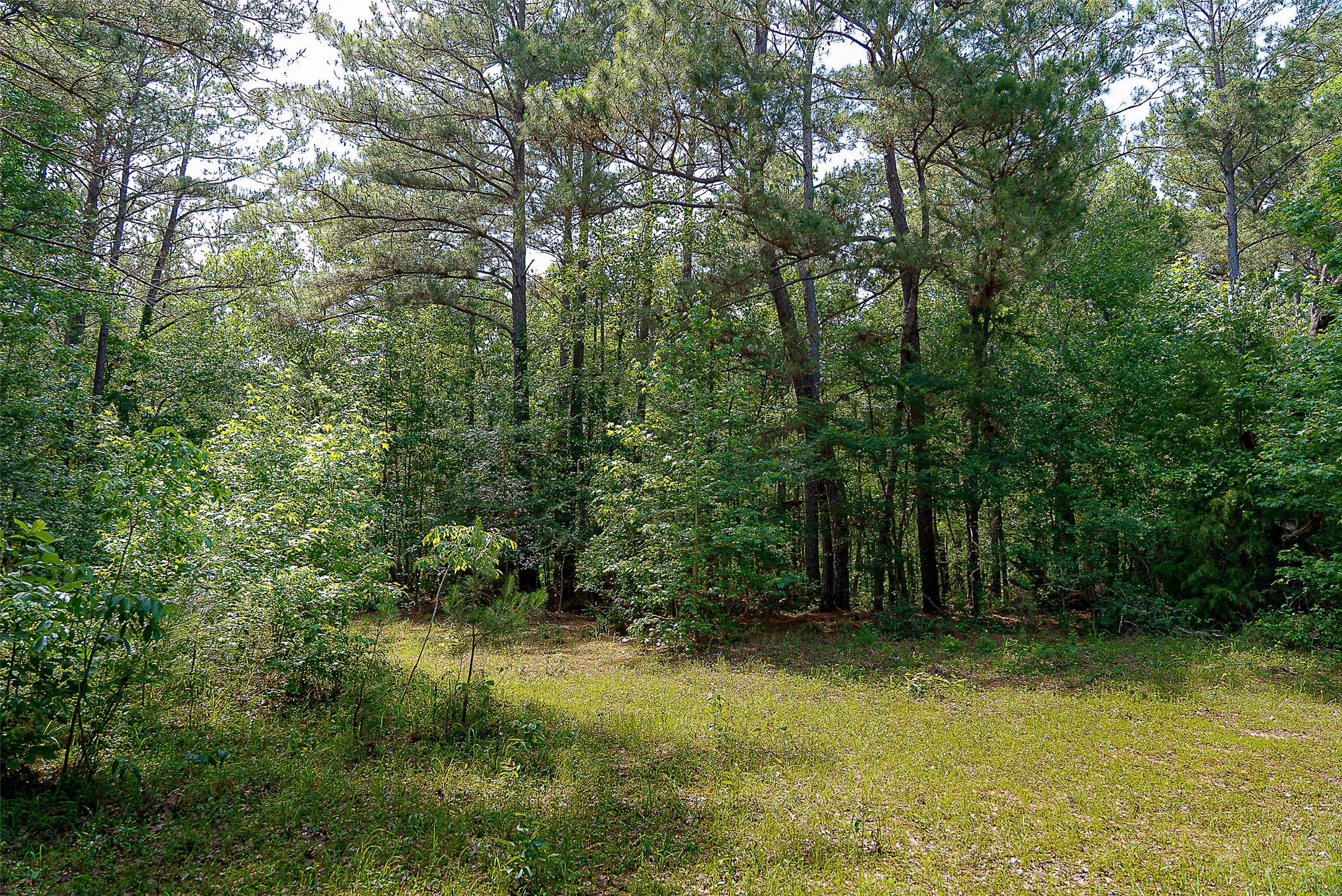00 Off Of Farm To Market Road 2064 Troup TX 75789