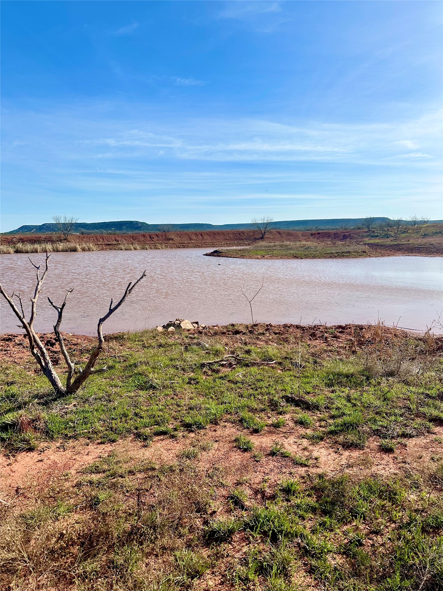 Tbd Cr 154 Tuscola TX 79562