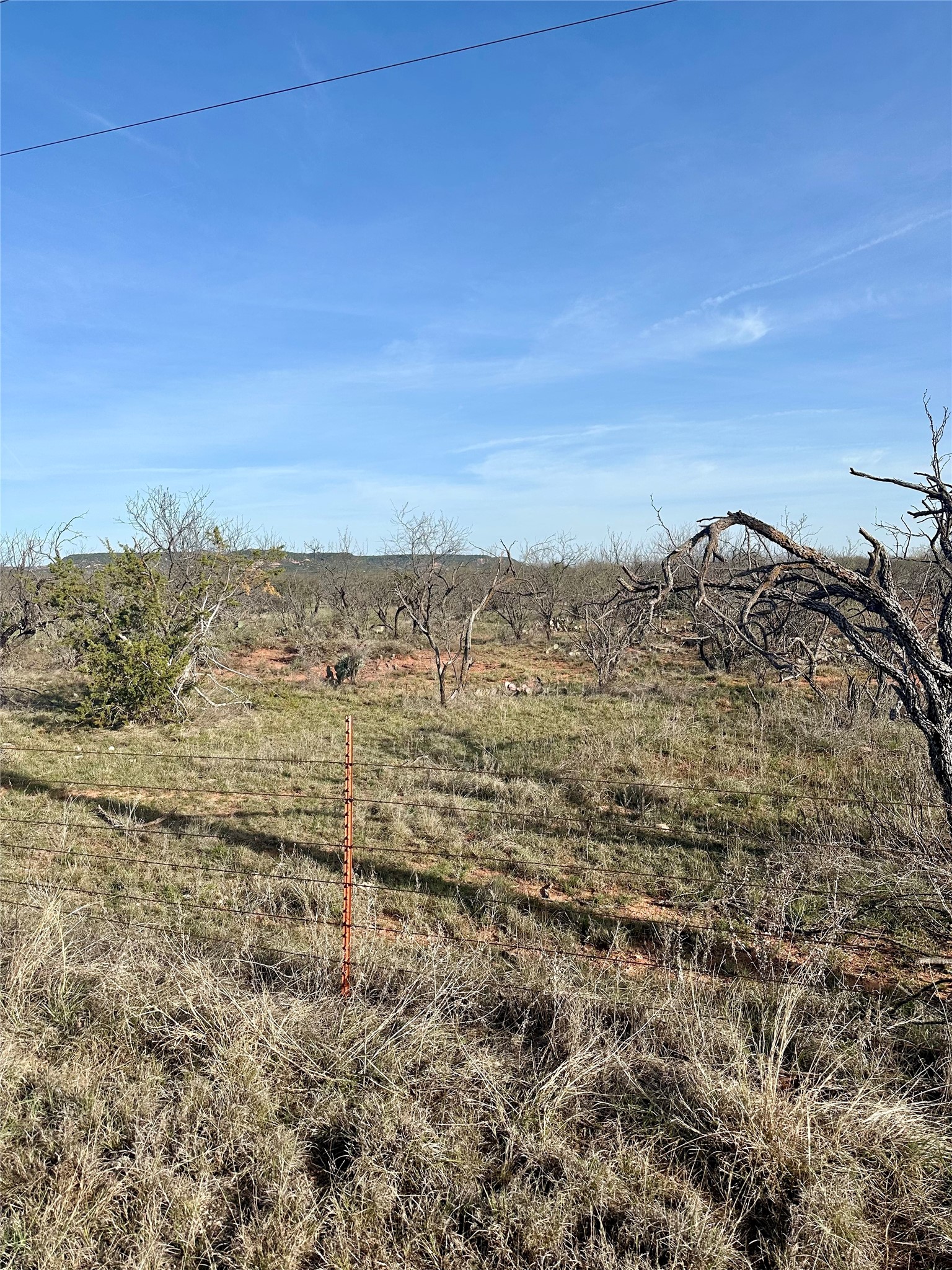 Tbd Cr 154 Tuscola TX 79562
