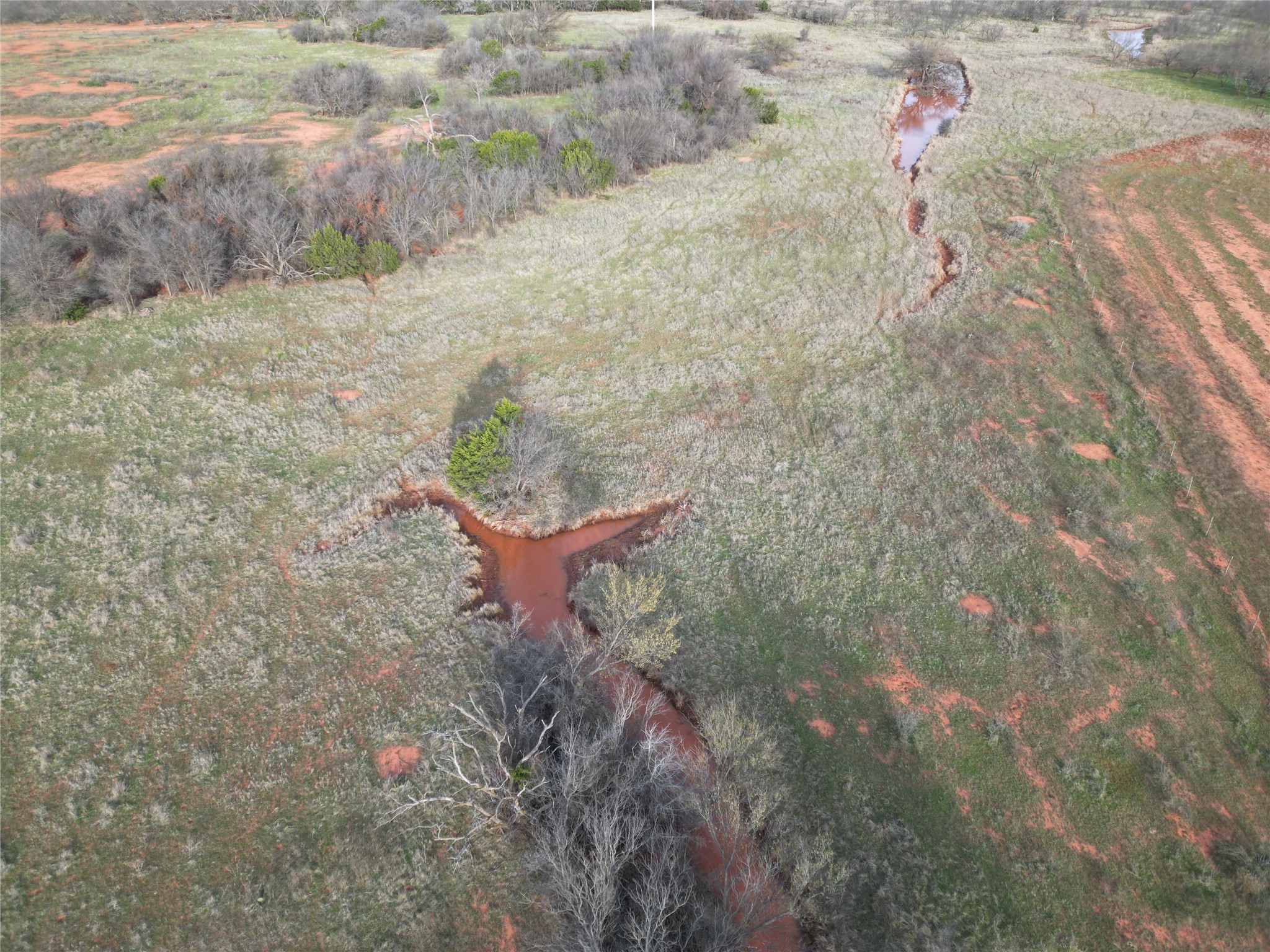 Tbd Cr 154 Tuscola TX 79562