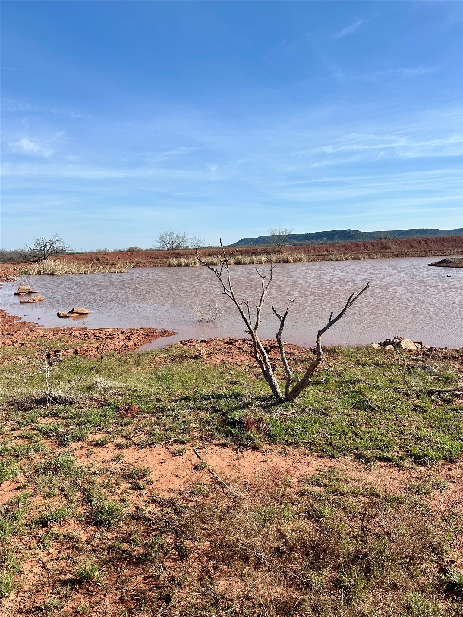 Tbd Cr 154 Tuscola TX 79562