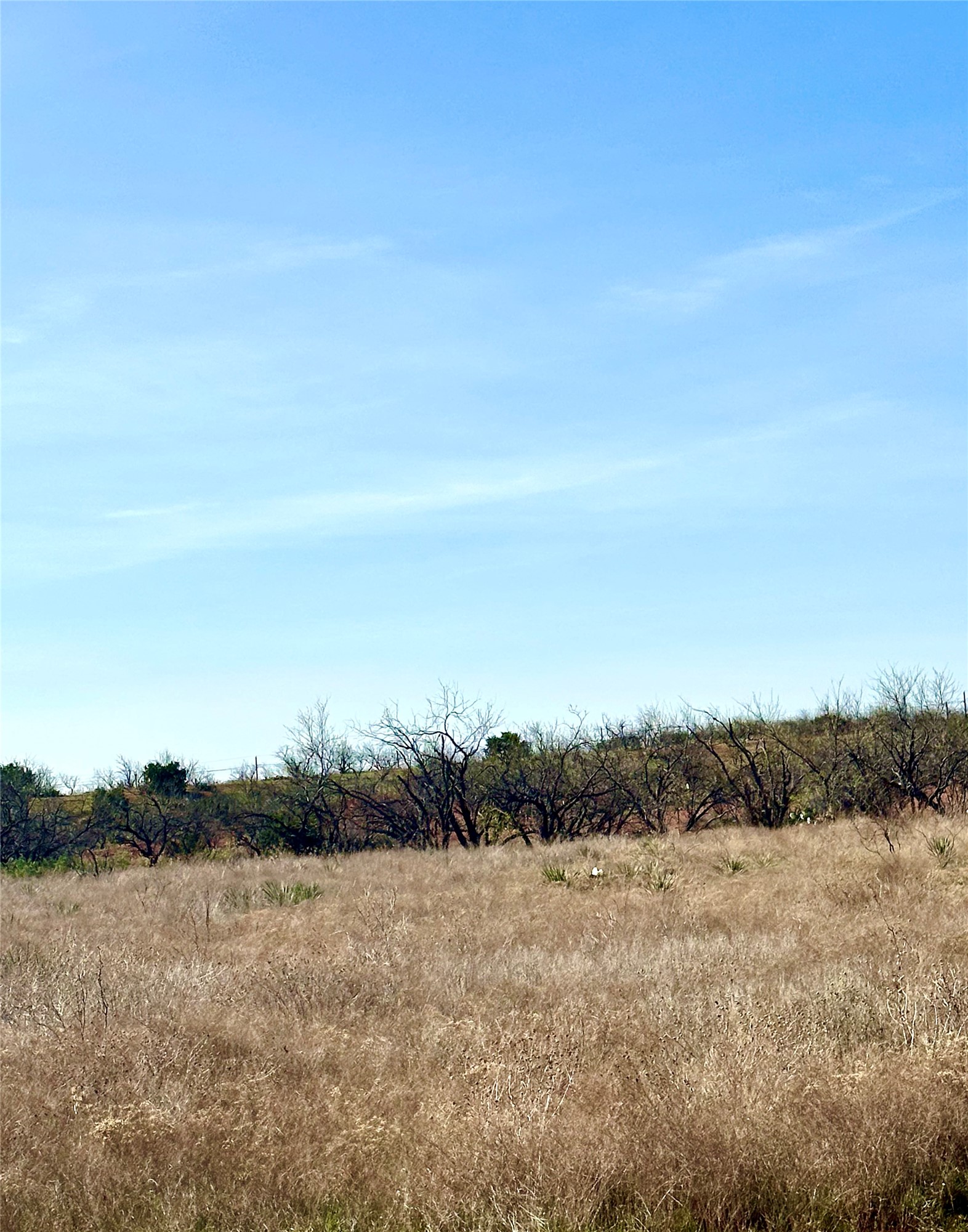 Tbd Cr 154 Tuscola TX 79562