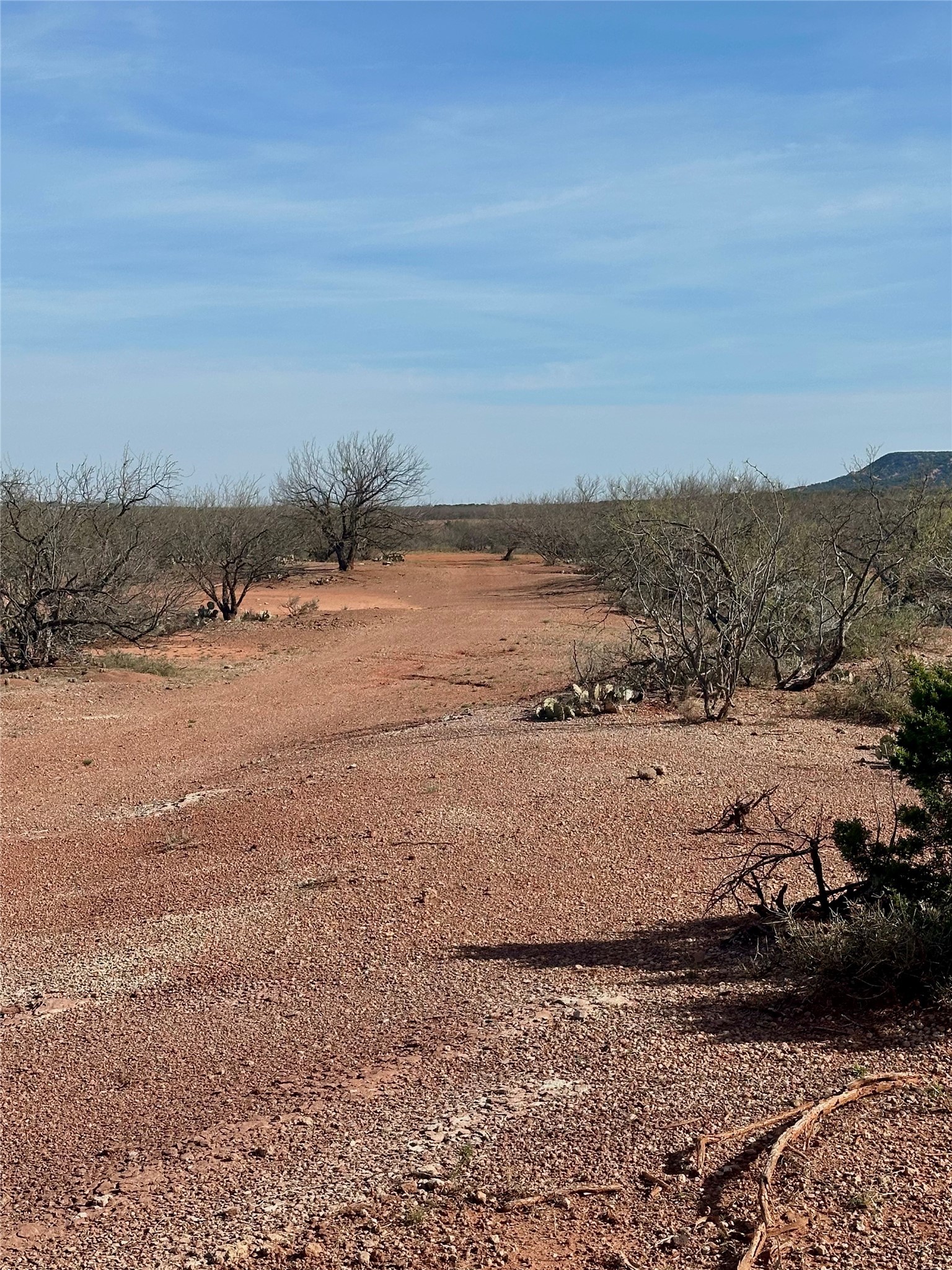 Tbd Cr 154 Tuscola TX 79562