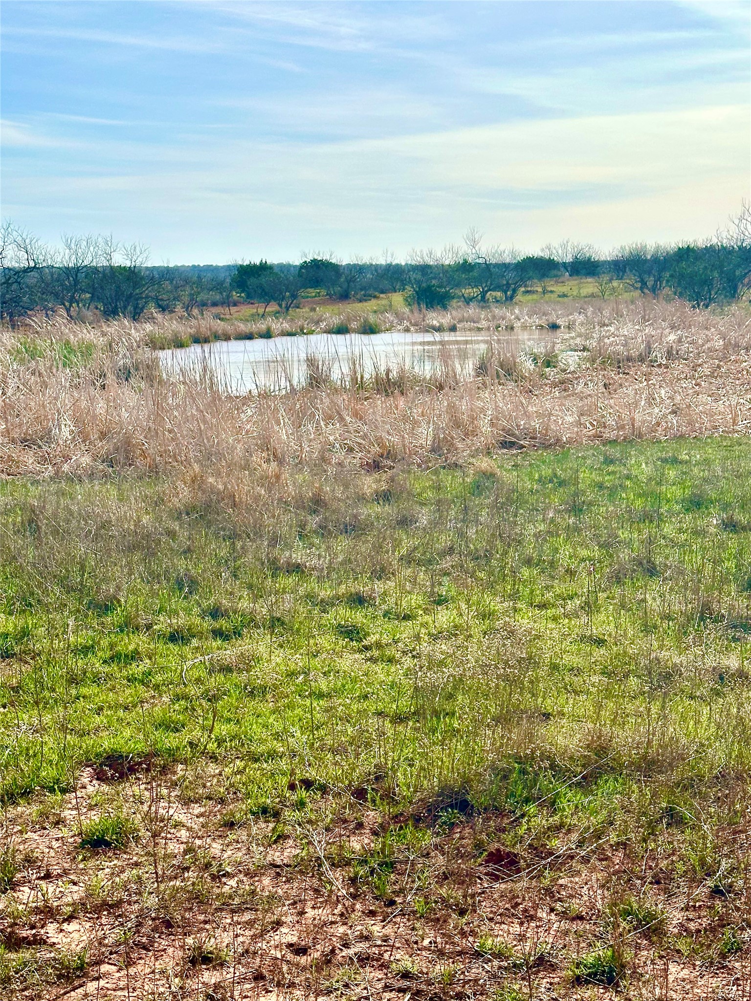 Tbd Cr 154 Tuscola TX 79562
