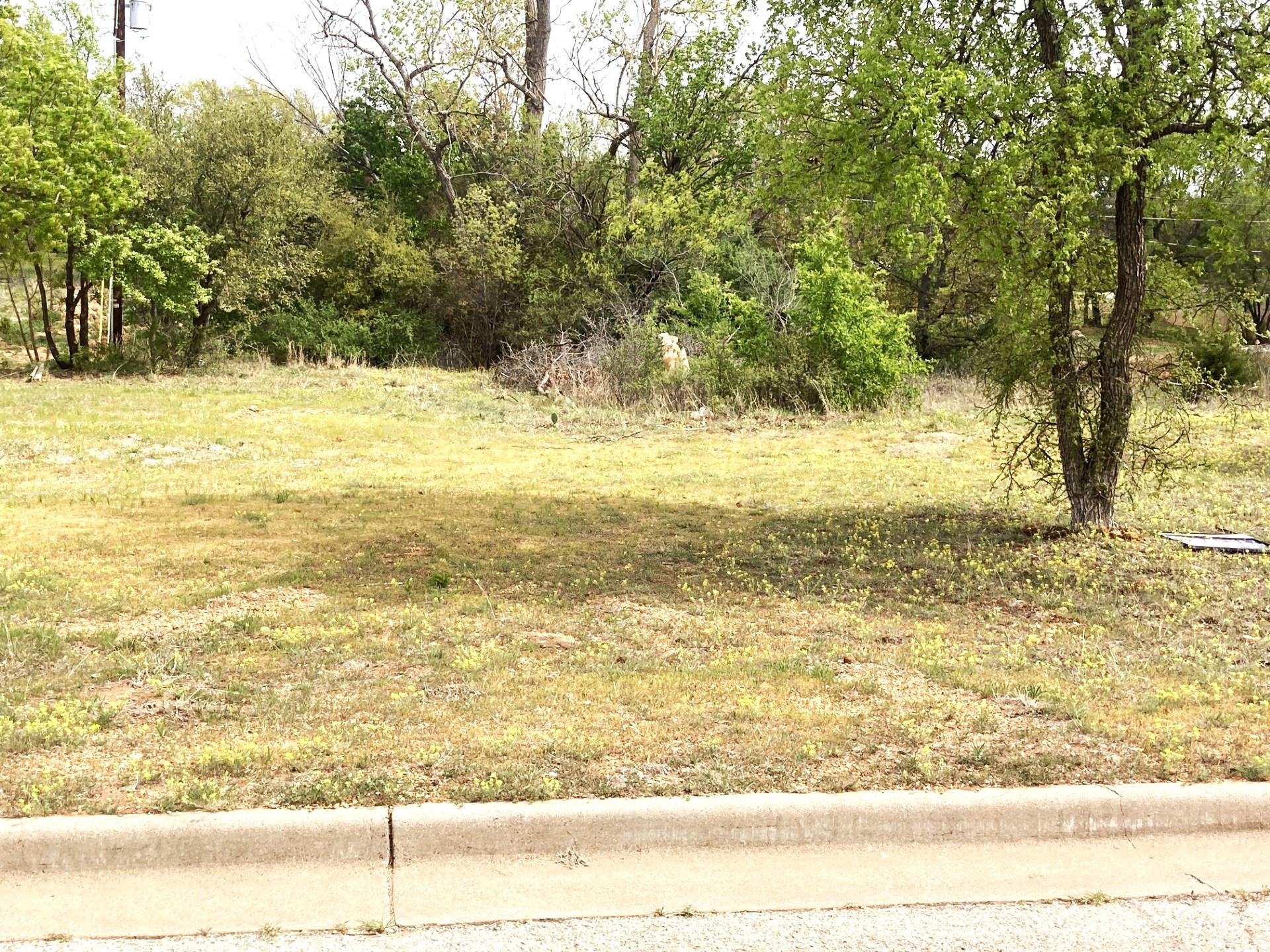 0000 Westwoood Graham TX 76450