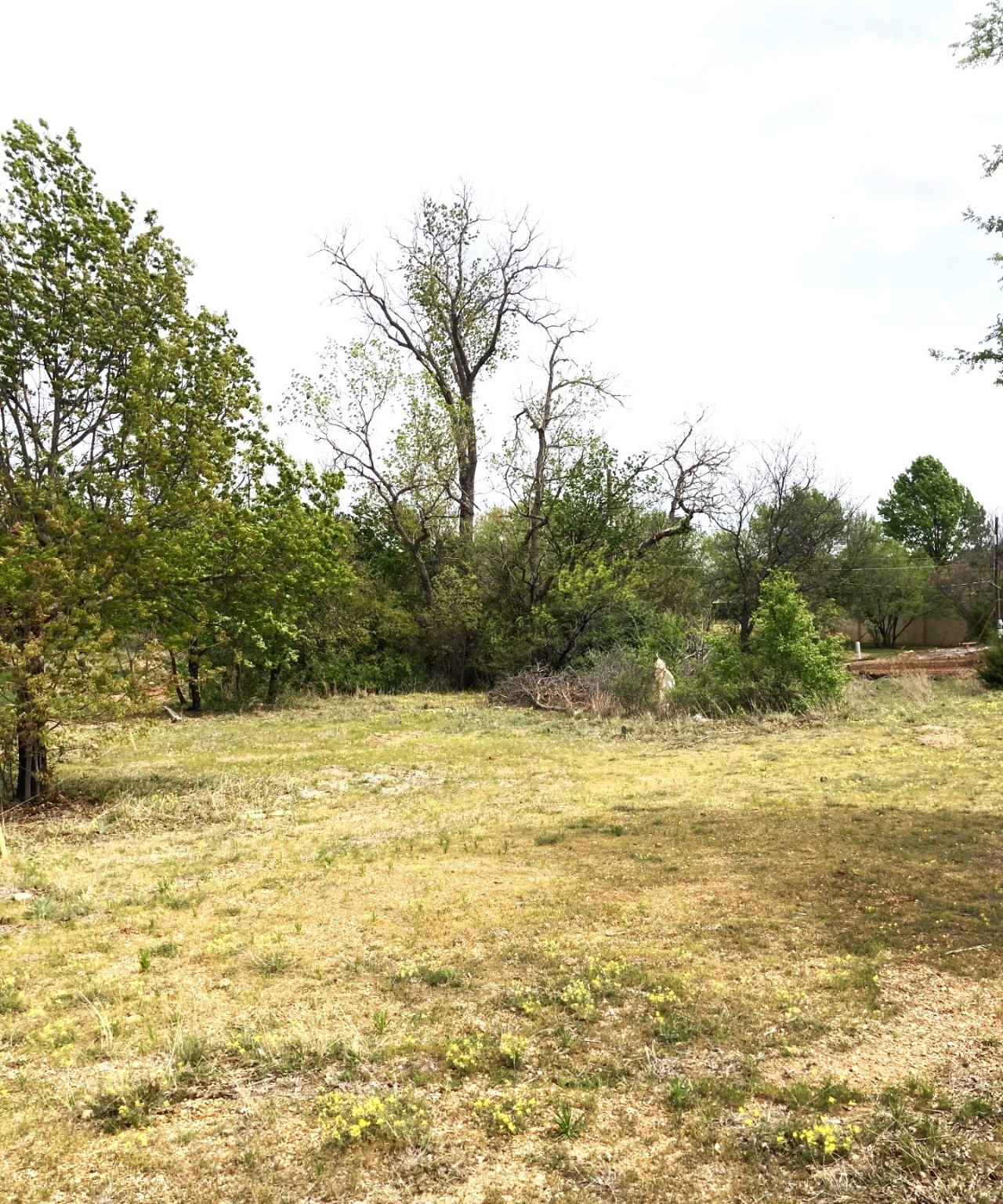 0000 Westwoood Graham TX 76450