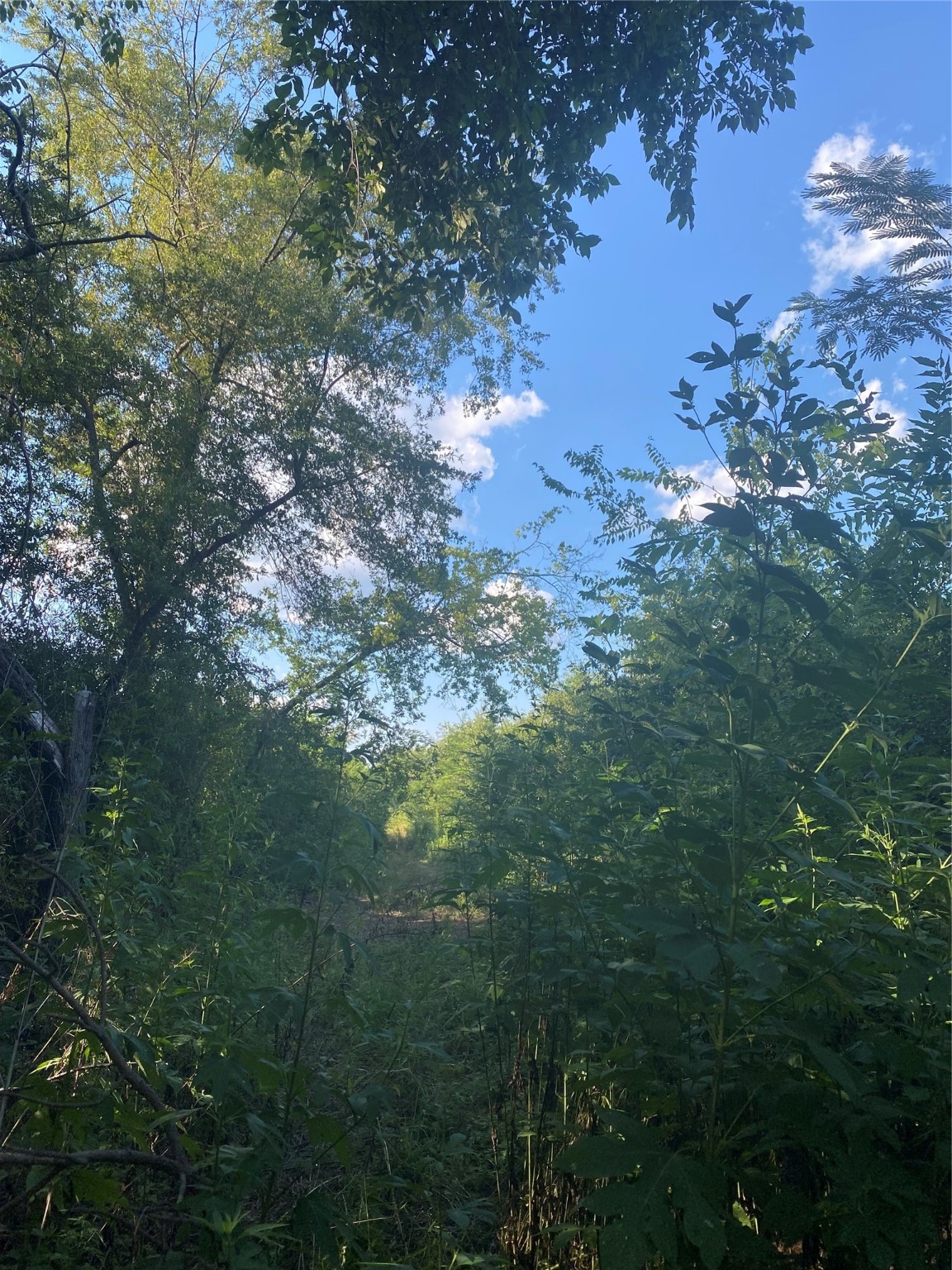Lot 79 Harris Sulphur Springs TX 75482