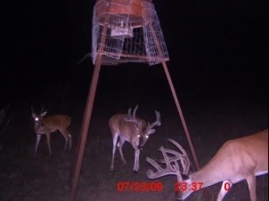 Tbd Cr 382 Carlton TX 76436