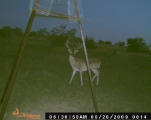 Tbd Cr 382 Carlton TX 76436