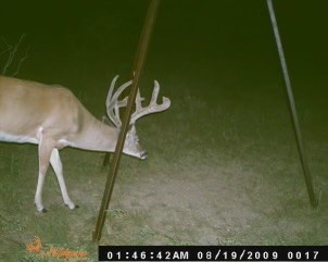 Tbd Cr 382 Carlton TX 76436