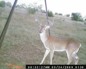 Tbd Cr 382 Carlton TX 76436