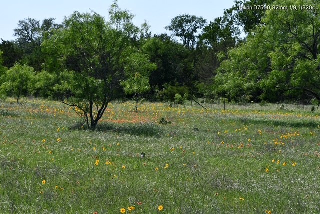 Tbd Cr 382 Carlton TX 76436