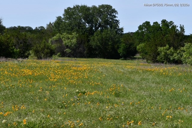 Tbd Cr 382 Carlton TX 76436