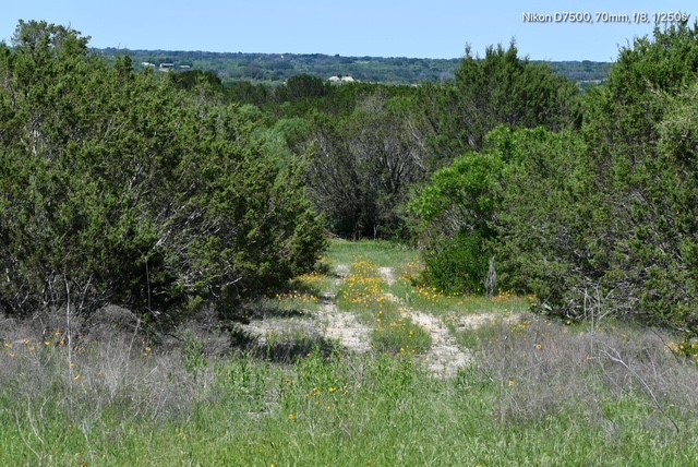 Tbd Cr 382 Carlton TX 76436