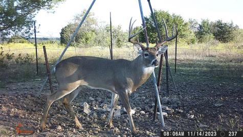 TBD Cr 382 Carlton TX 76436