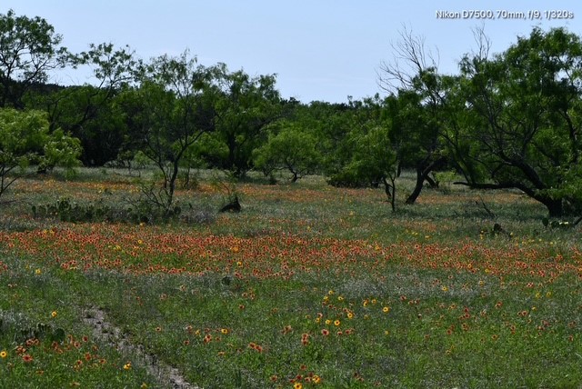 Tbd Cr 382 Carlton TX 76436