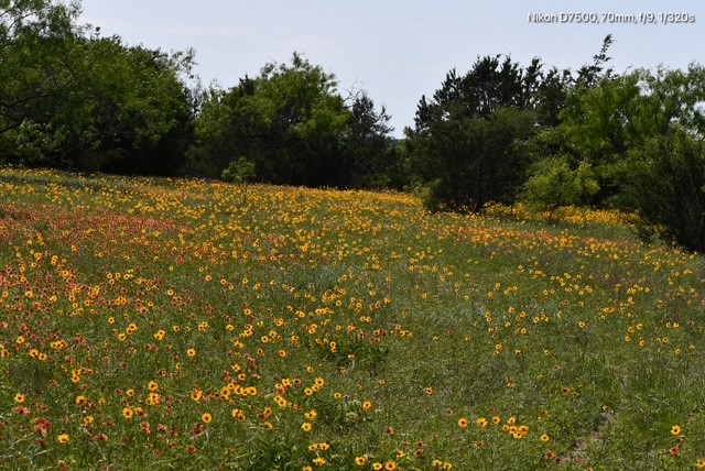 Tbd Cr 382 Carlton TX 76436