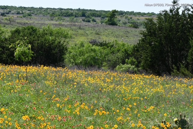 Tbd Cr 382 Carlton TX 76436