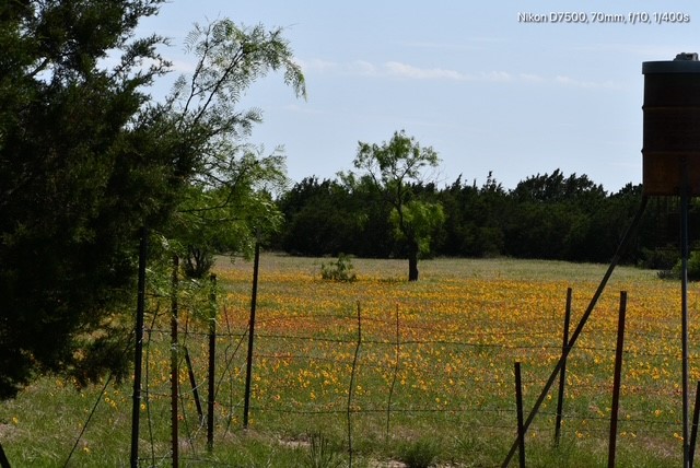 Tbd Cr 382 Carlton TX 76436
