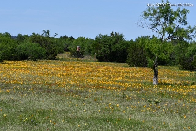 Tbd Cr 382 Carlton TX 76436