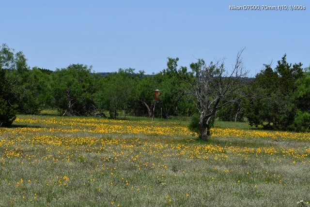 Tbd Cr 382 Carlton TX 76436