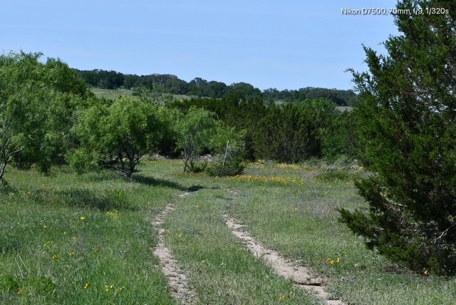 Tbd Cr 382 Carlton TX 76436