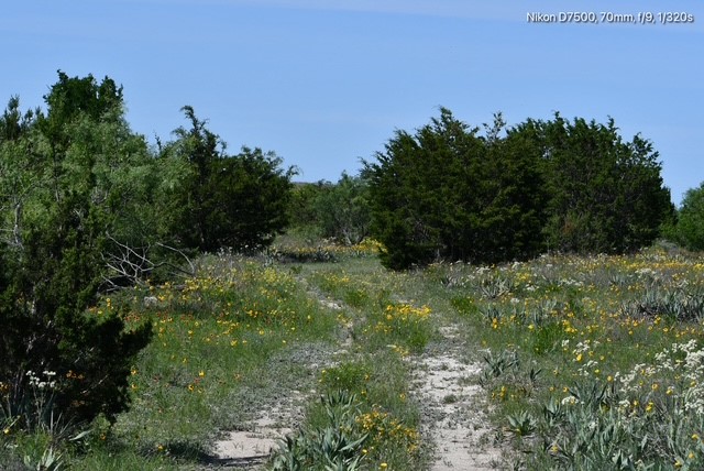 Tbd Cr 382 Carlton TX 76436