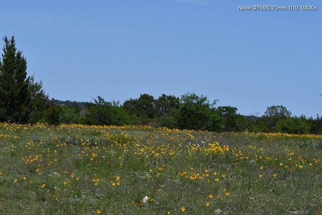 Tbd Cr 382 Carlton TX 76436