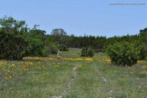 TBD Cr 382 Carlton TX 76436