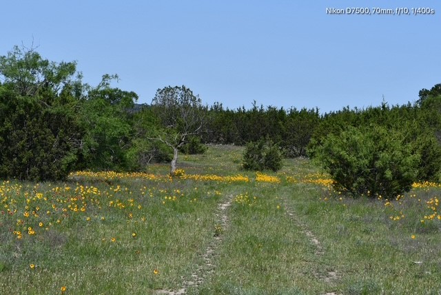 Tbd Cr 382 Carlton TX 76436