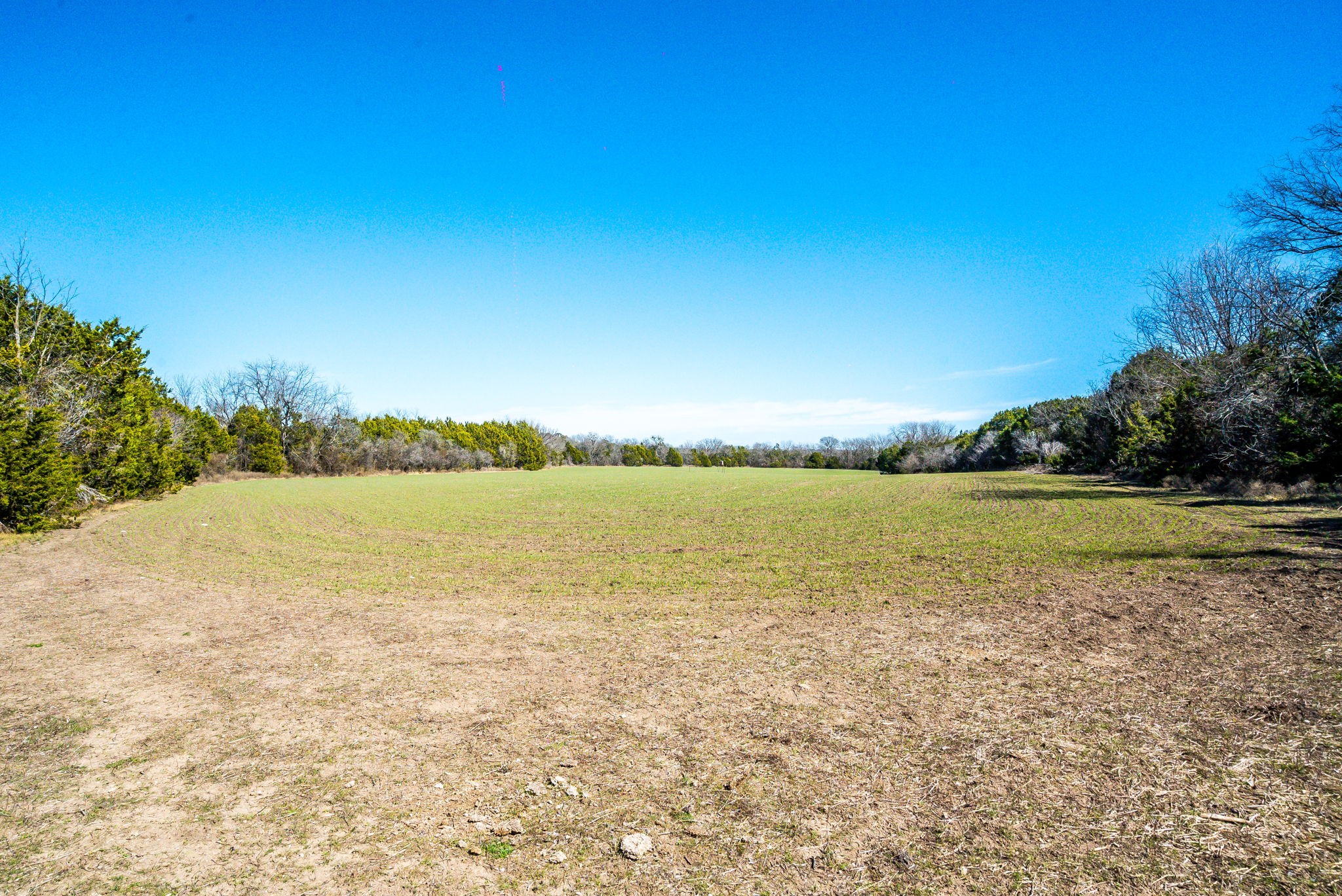 Tbd Cr 382 Carlton TX 76436