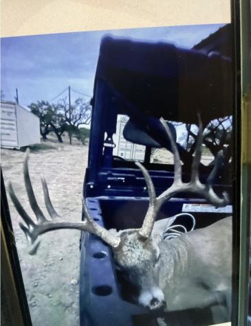 15134 Fm 2134 Millersview TX 76862