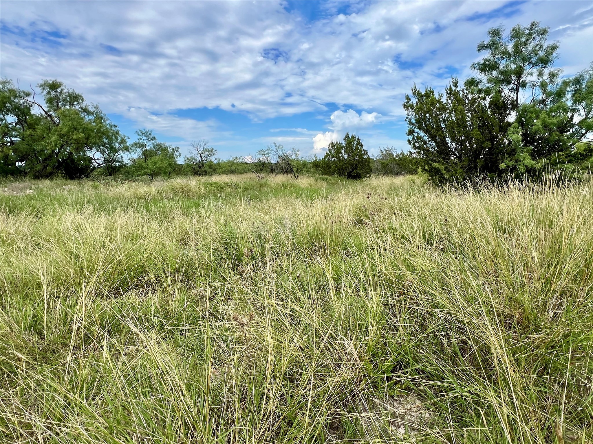 15134 Fm 2134 Millersview TX 76862