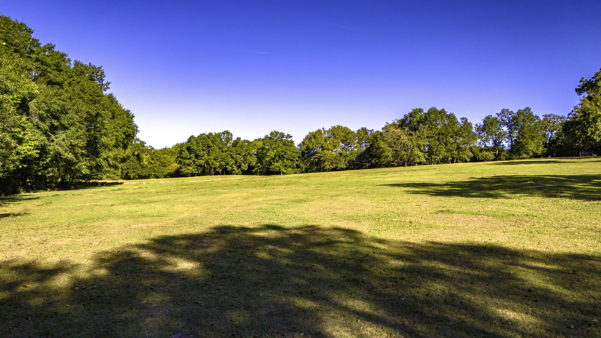 Tbd Interstate 45 Fairfield TX 75840