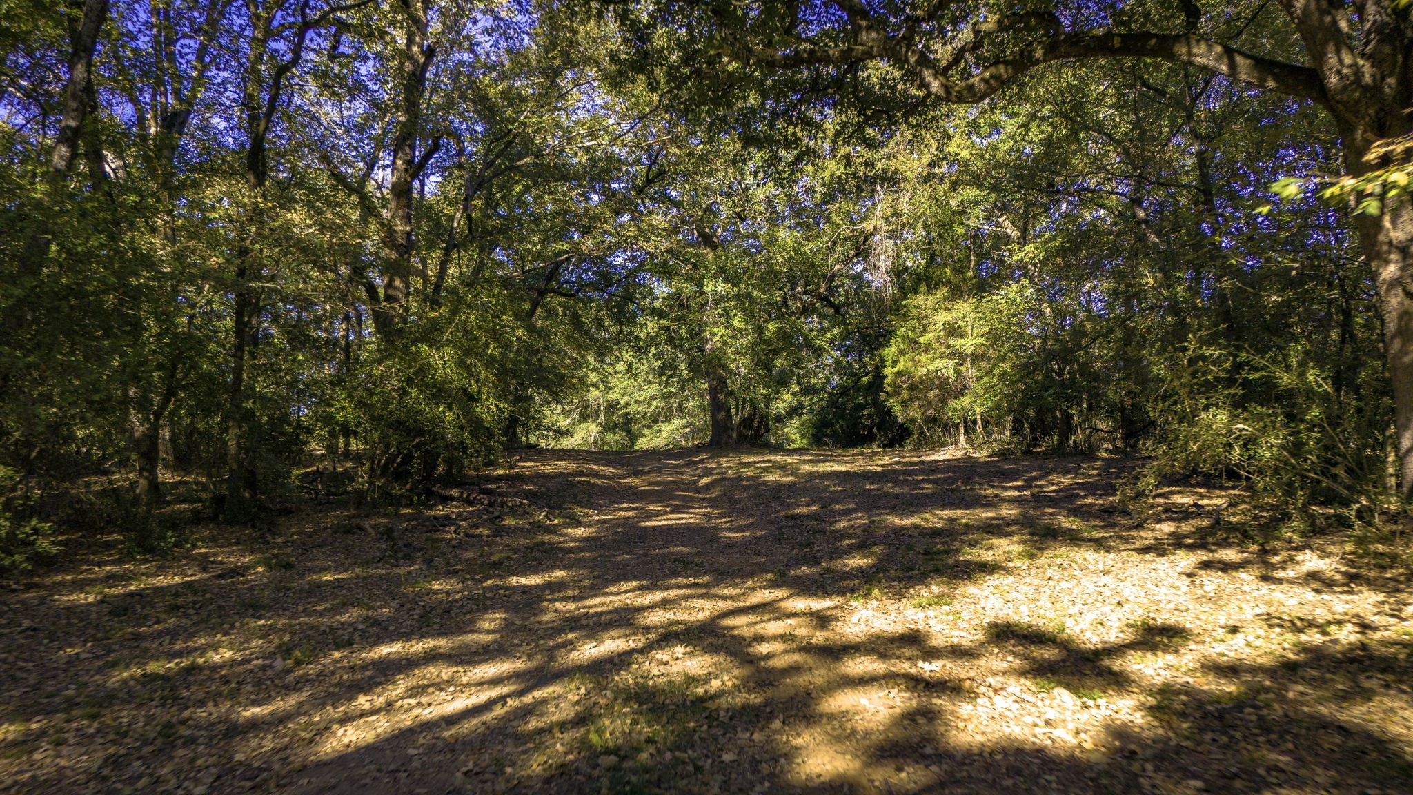 Tbd Interstate 45 Fairfield TX 75840