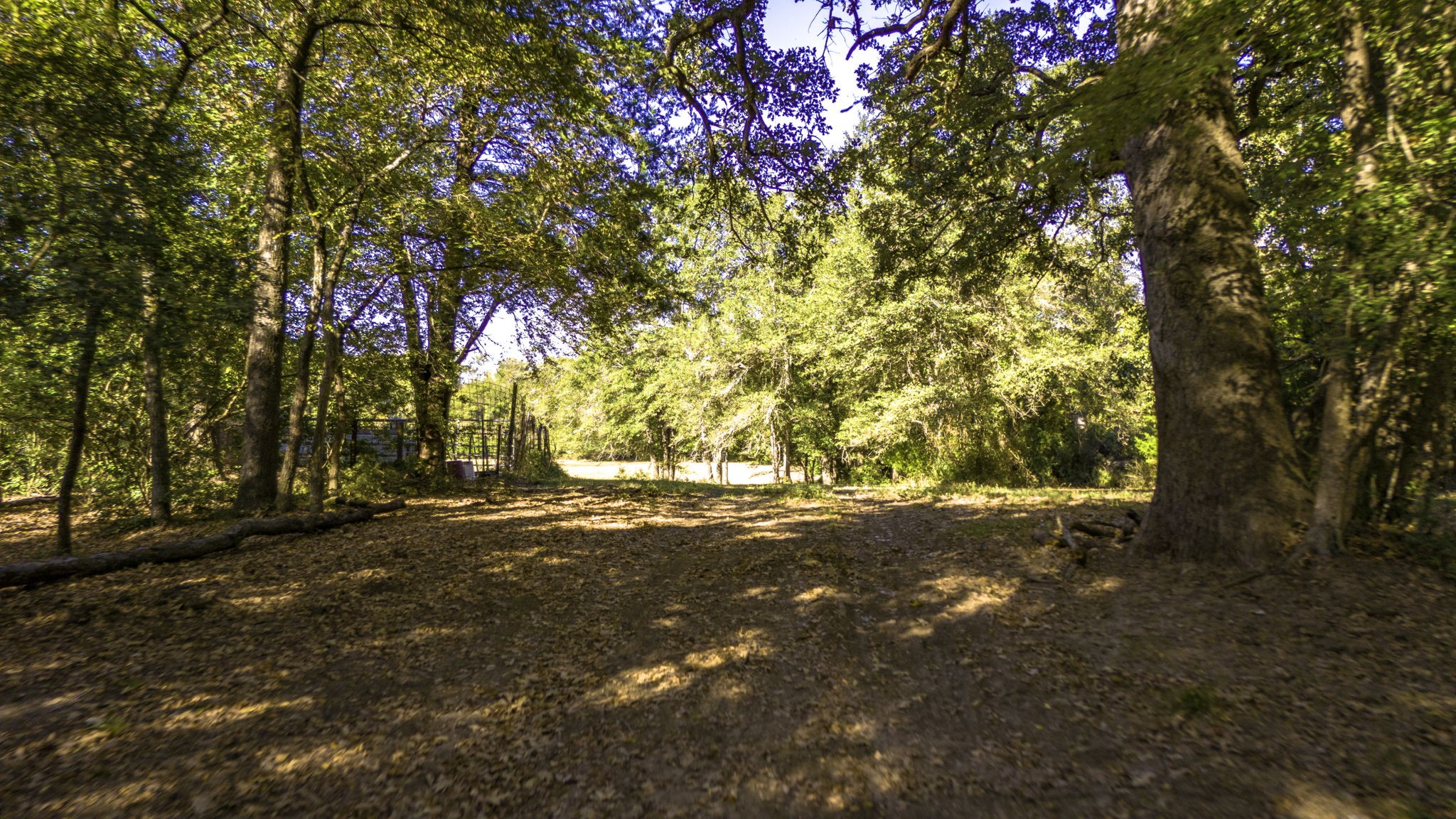 Tbd Interstate 45 Fairfield TX 75840