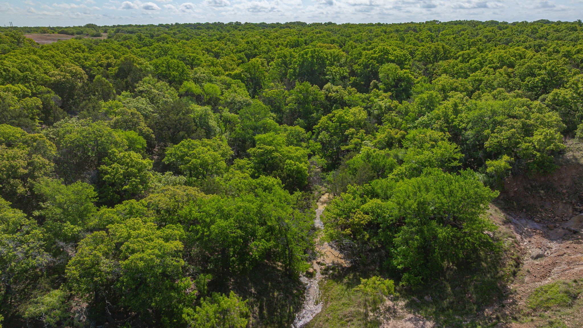Tbd Comanche Moon Drive Mingus TX 76463