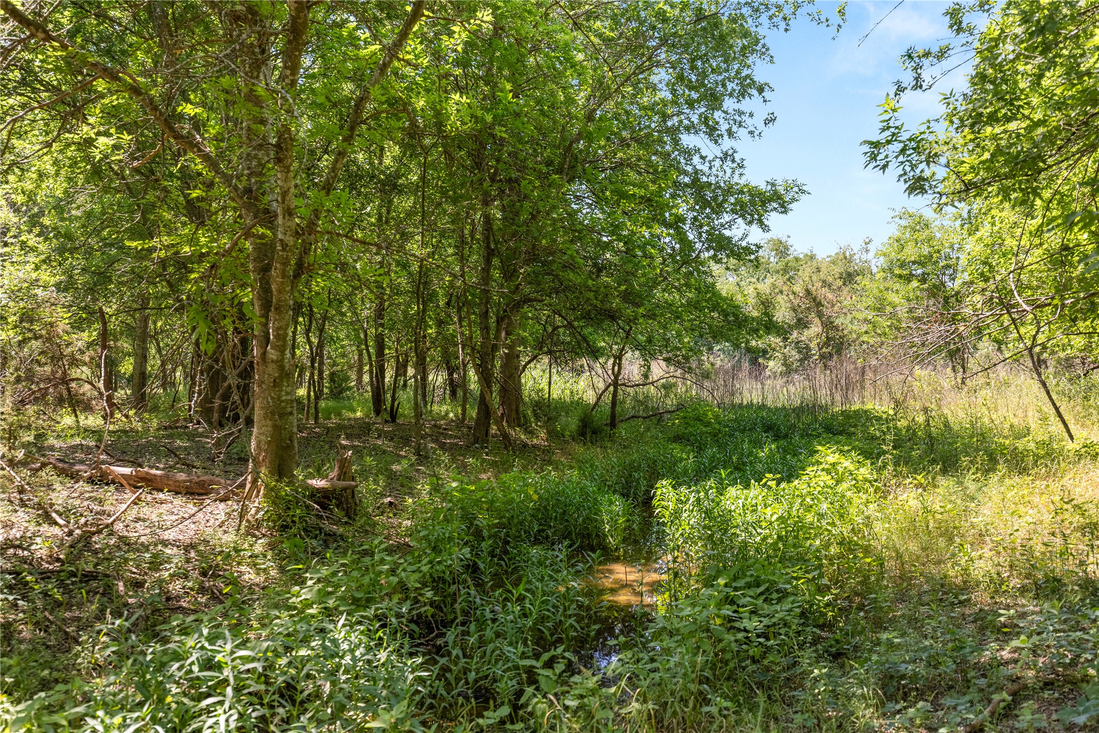 67.5 Ac. Tbd Sundown Drive Woodway TX 76712