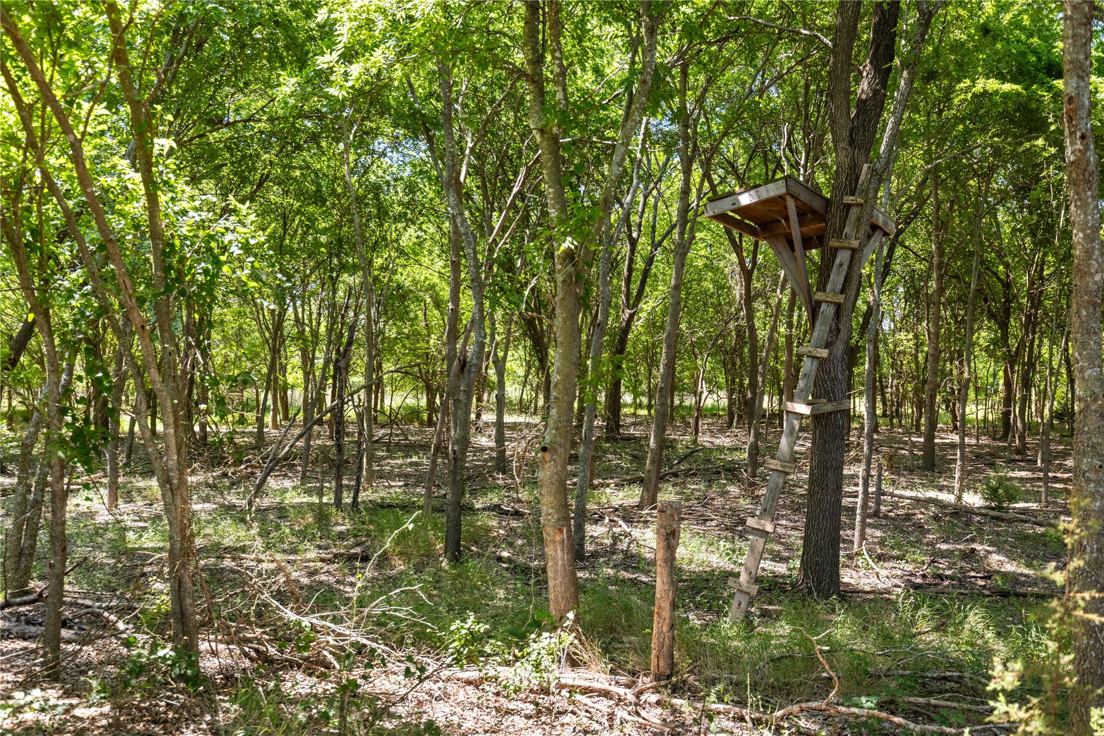67.5 Ac. Tbd Sundown Drive Woodway TX 76712