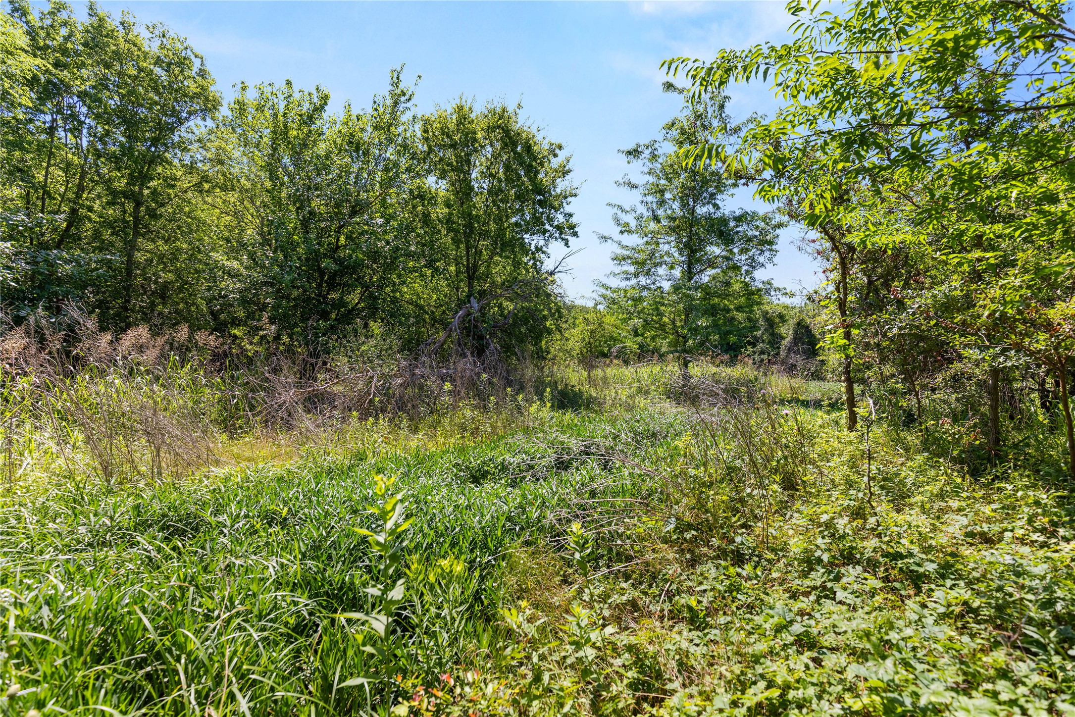 67.5 Ac. Tbd Sundown Drive Woodway TX 76712