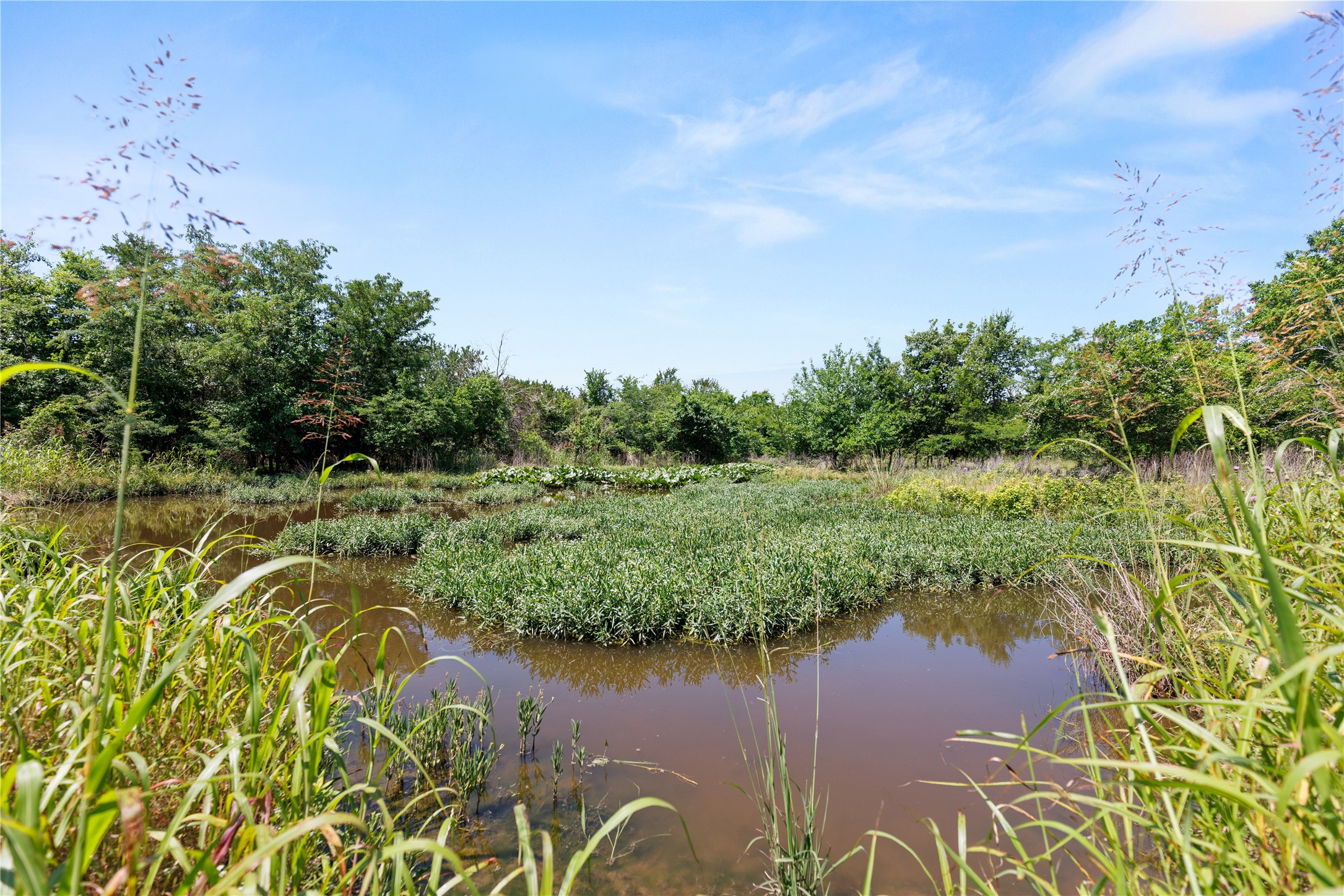 67.5 Ac. Tbd Sundown Drive Woodway TX 76712