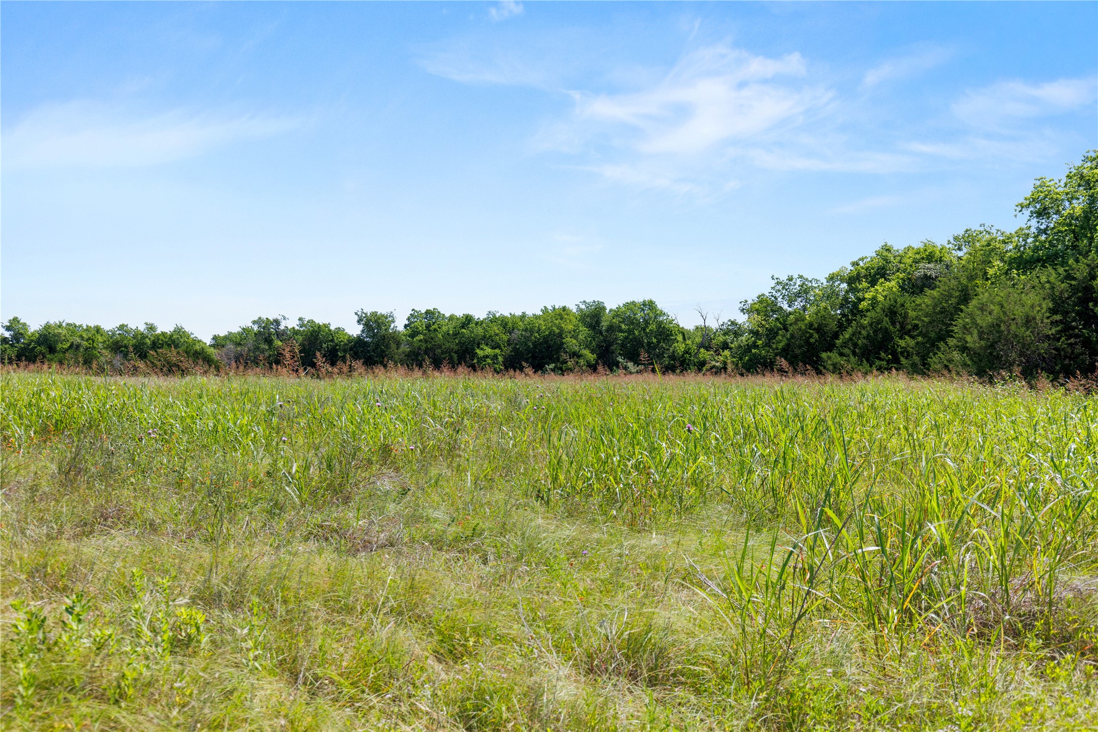 67.5 Ac. Tbd Sundown Drive Woodway TX 76712