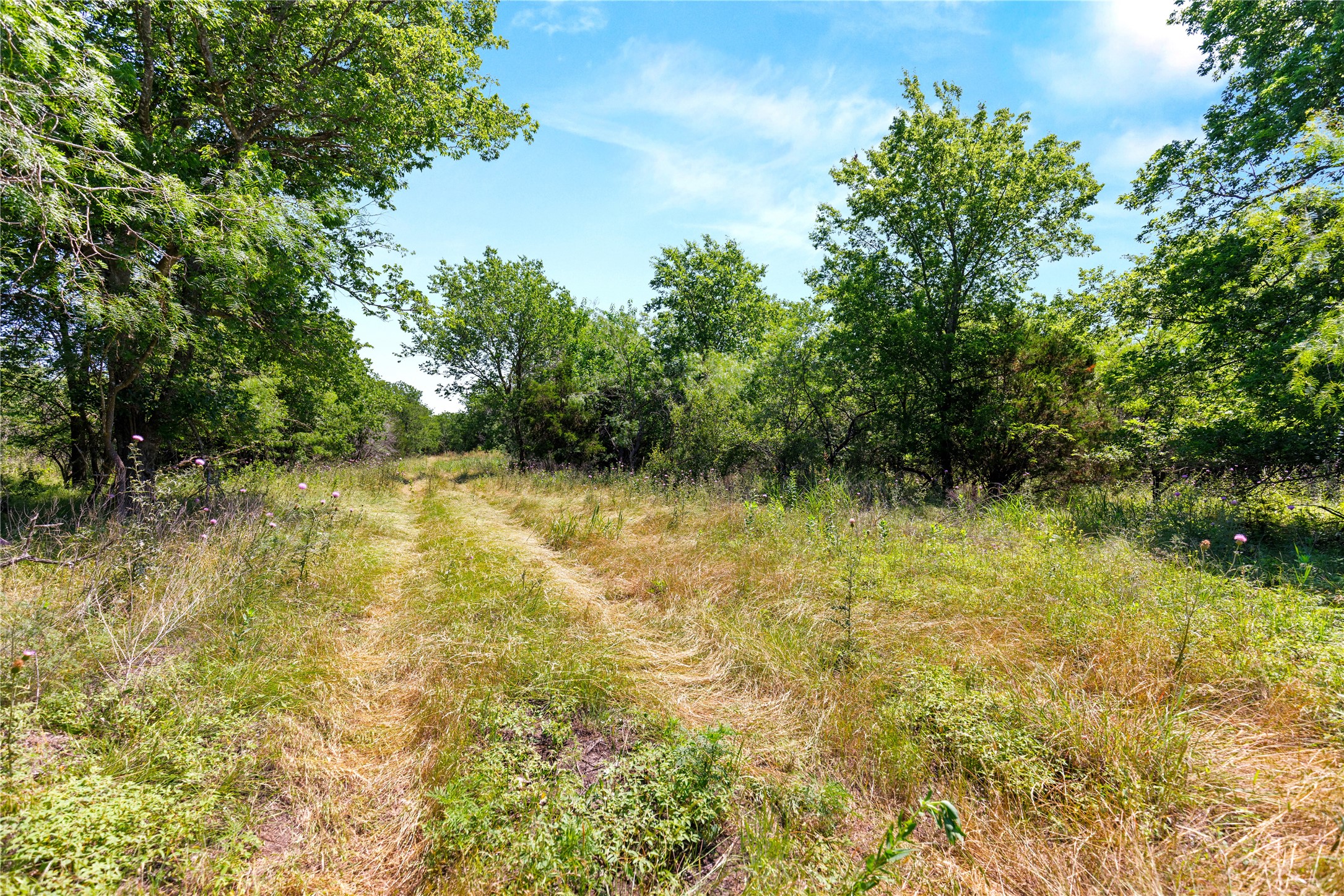 67.5 Ac. Tbd Sundown Drive Woodway TX 76712