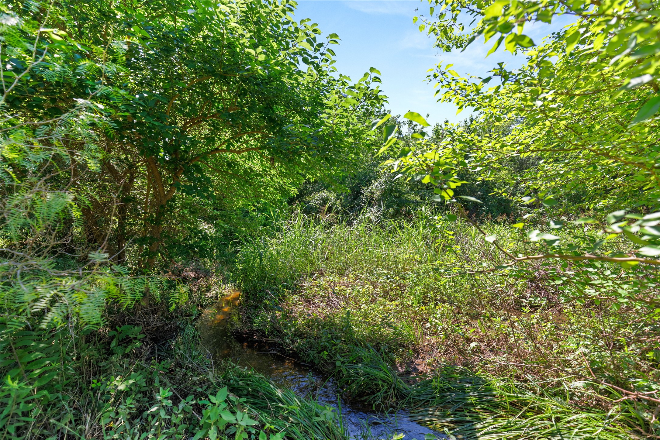 67.5 Ac. Tbd Sundown Drive Woodway TX 76712