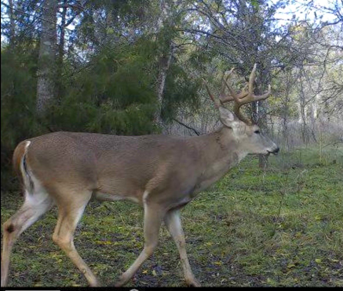 67.5 Ac. Tbd Sundown Drive Woodway TX 76712